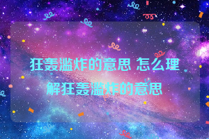 狂轰滥炸的意思 怎么理解狂轰滥炸的意思