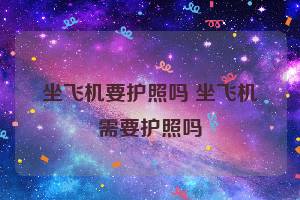 坐飞机要护照吗 坐飞机需要护照吗