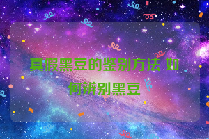 真假黑豆的鉴别方法 如何辨别黑豆