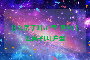 什么房子叫h户型 具体什么房子叫h户型